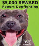 Humane Society Dog Fighting Poster