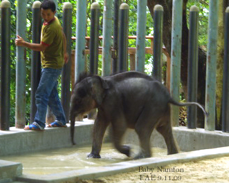 Namfon with her keeper, Chai