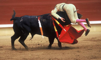 bullfighter