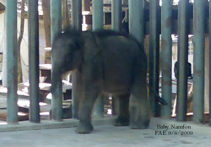 Baby Namfon in the Baby Infirmary Unit or Nursery next to Motala