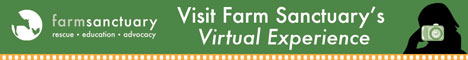 Farm Sanctuary Experience Banner